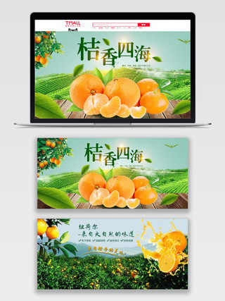 绿色大自然四季生鲜水果橘子电商banner